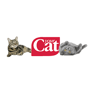Yourcat