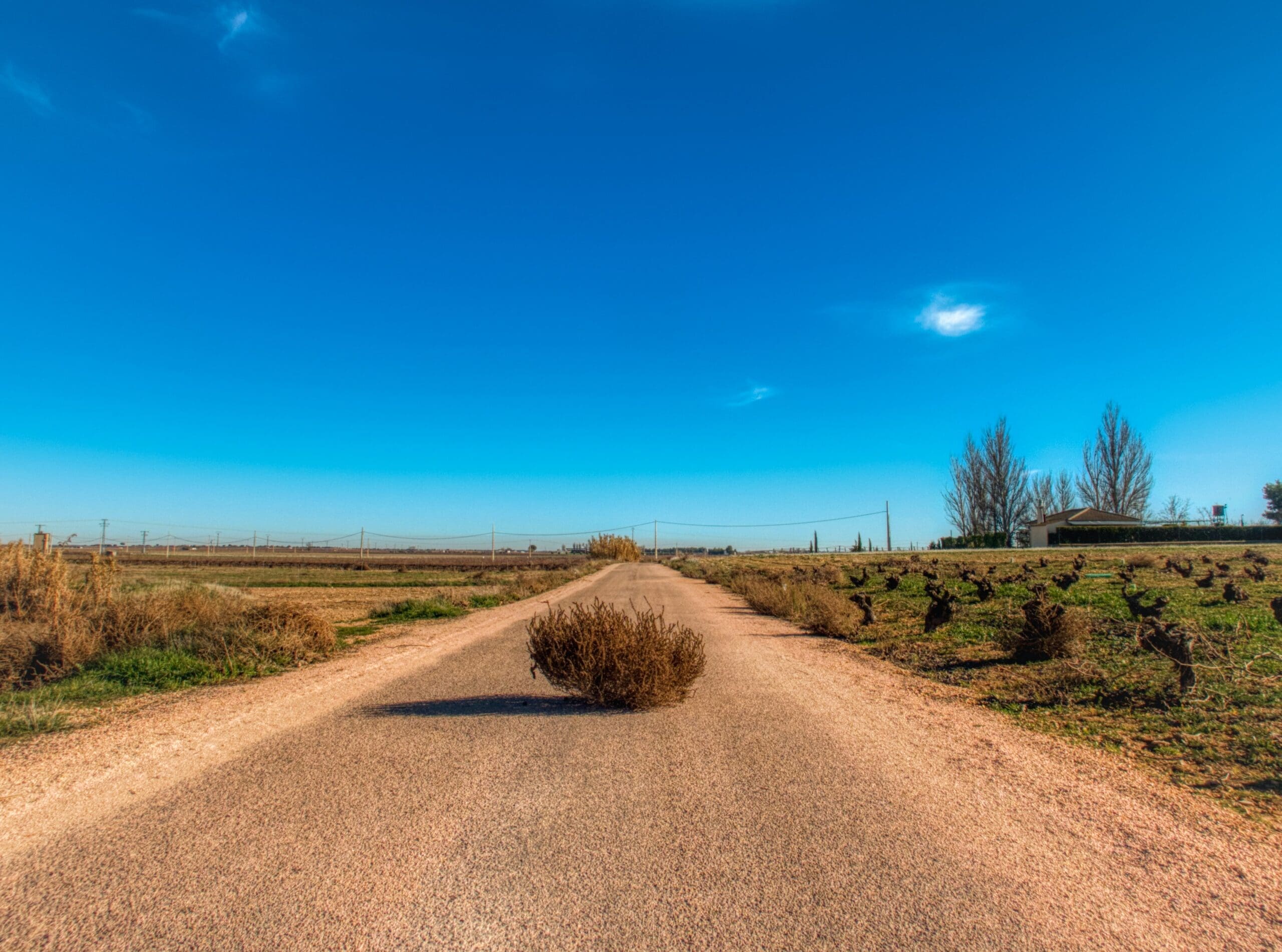 Hit a quiet spell? These 5 affiliate marketing strategies will help your business through