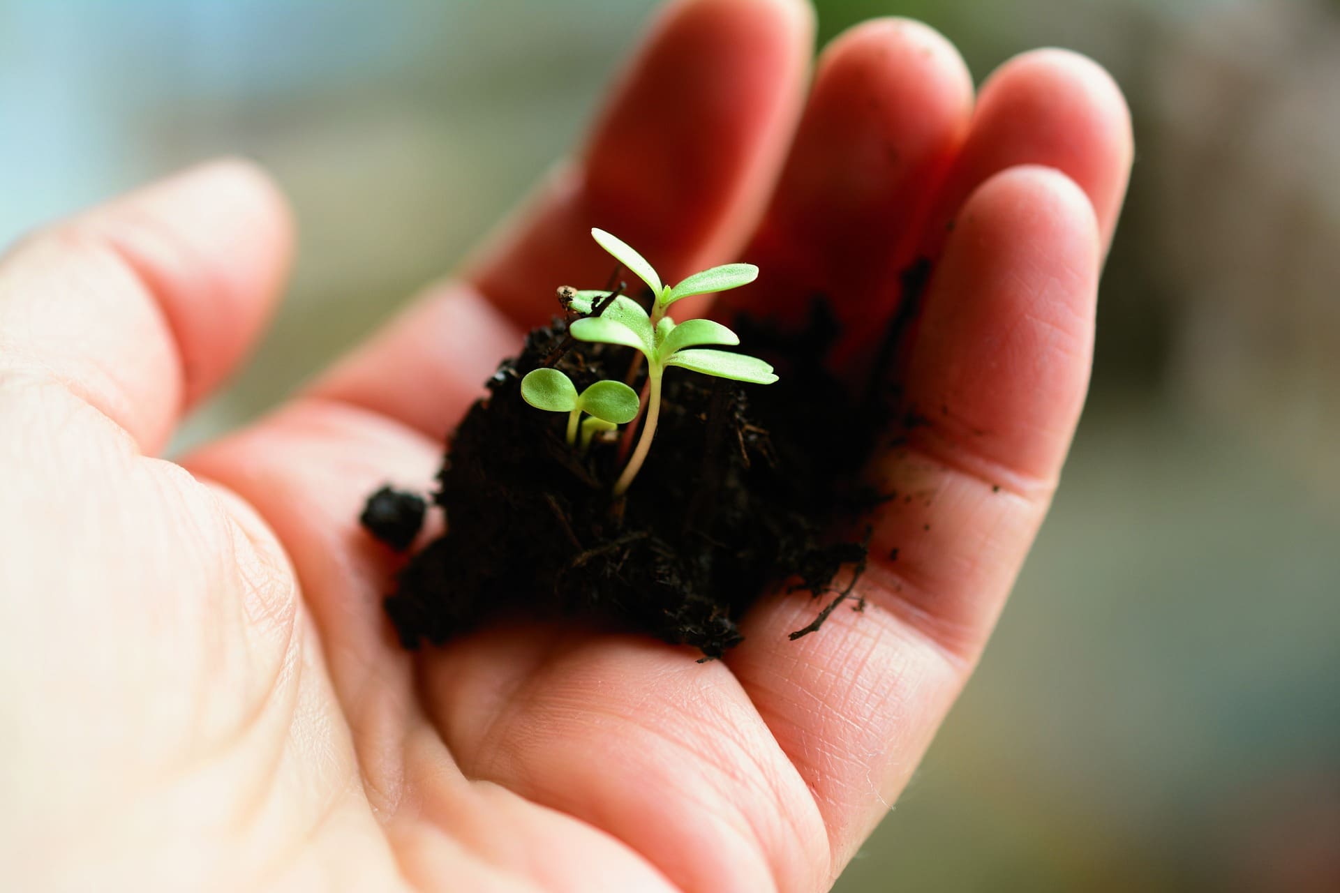 5 things to know before your first campaign with an SEO agency